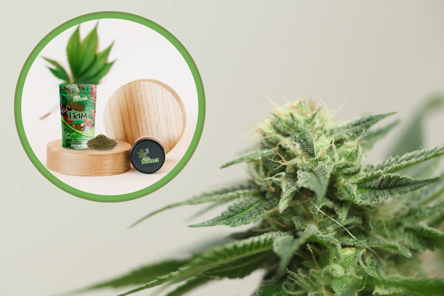 Let's find out everything about the CBD Trim flower