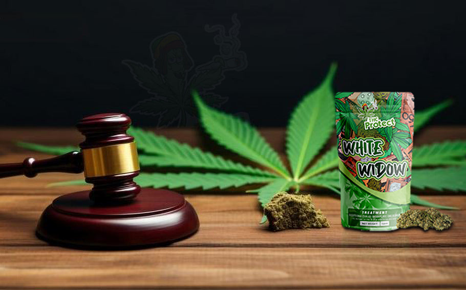 White Widow CBD: The legal cannabidiol flower for natural well-being