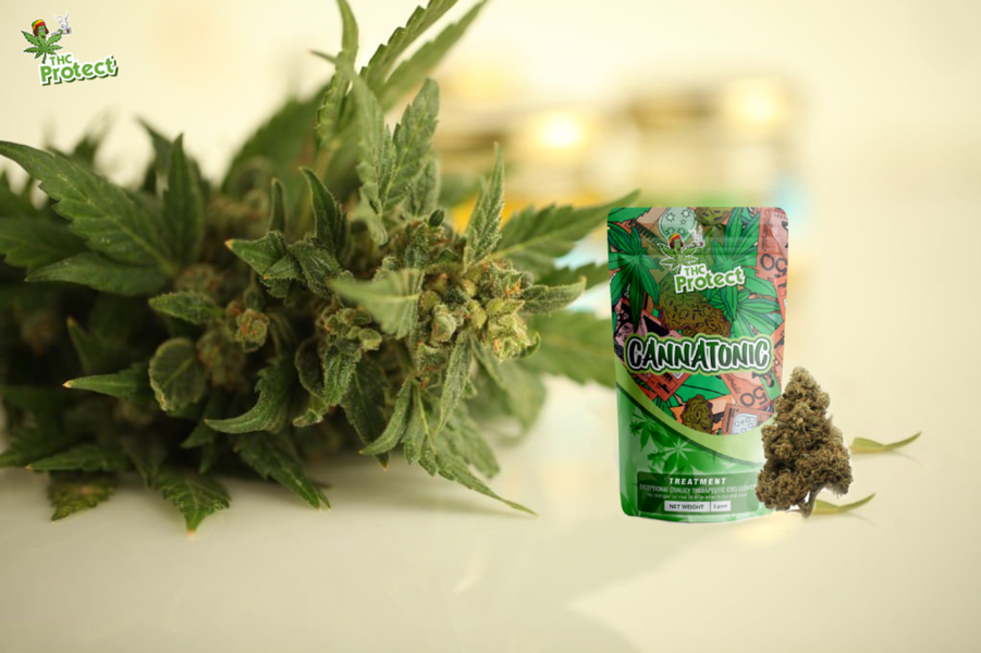 The benefits of Cannatonic CBD flowers for health and well-being